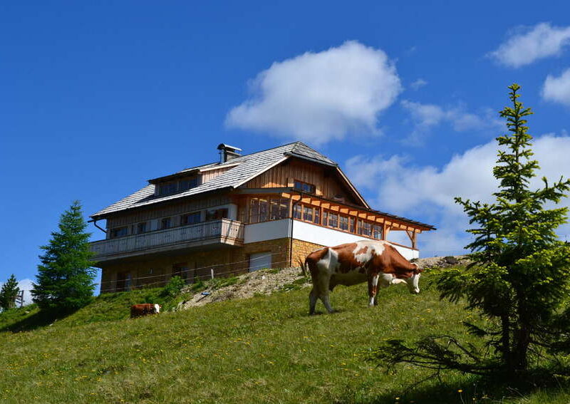 Yoga & Genusstour inmitten der Bergnatur