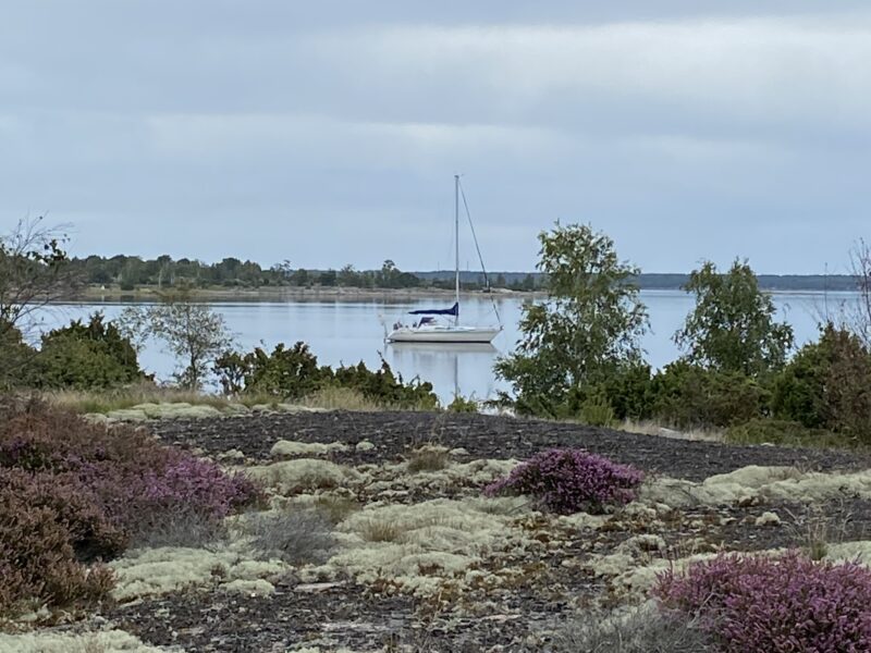1:1 schamanisches Segelretreat
