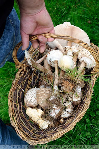 Frauen - Retreat inmitten der Bergnatur