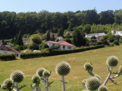 Silence is golden - Stilleretreat im Weserbergland