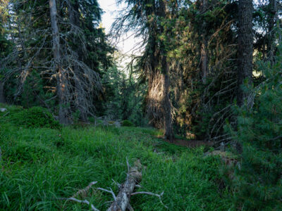 Yoga & Genusstour inmitten der Bergnatur