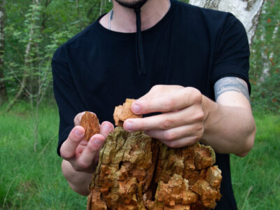 Kunst Natur Retreat Wendland – Achtsame Naturerfahrung und kreative Entfaltung