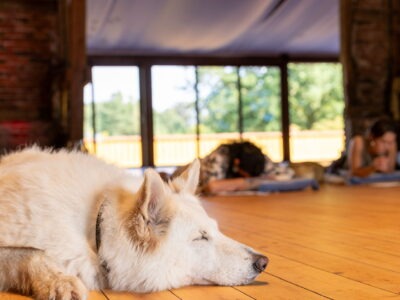 Design Your Life - Dein Retreat für Selbstfindung & Veränderung (17-35 J.)