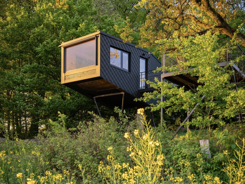 Meet & Lead Your Self – Eine Experience für innere Klarheit und bewusste Selbstführung im K1 Baumhaus Resort, Bergisch Gladbach