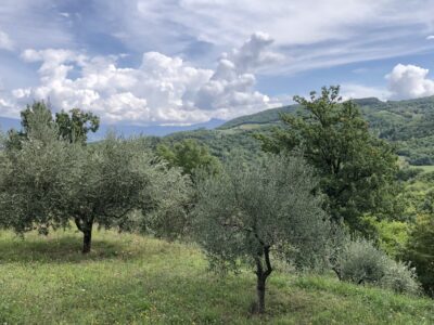 Denn das Beste in deinem Leben kommt noch: Ein Retreat in der magischen Toskana für deine persönliche Neuorientierung