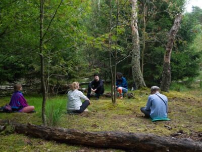 Kunst Natur Retreat im Wald – Achtsame Naturerfahrung und kreative Entfaltung