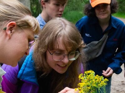 Kunst Natur Retreat im Wald – Achtsame Naturerfahrung und kreative Entfaltung