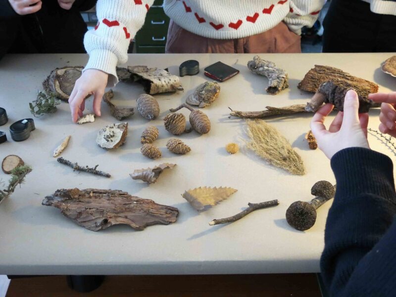 Kunst Natur Retreat im Wald – Achtsame Naturerfahrung und kreative Entfaltung