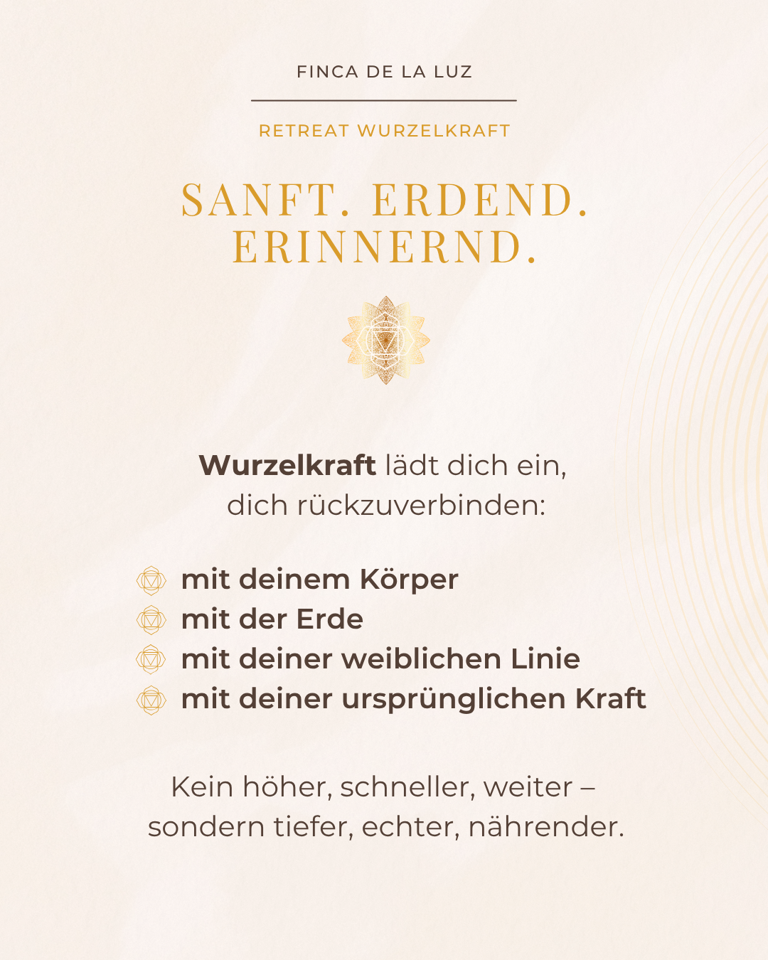 Wurzelkraft - Zurück in deine Urkraft