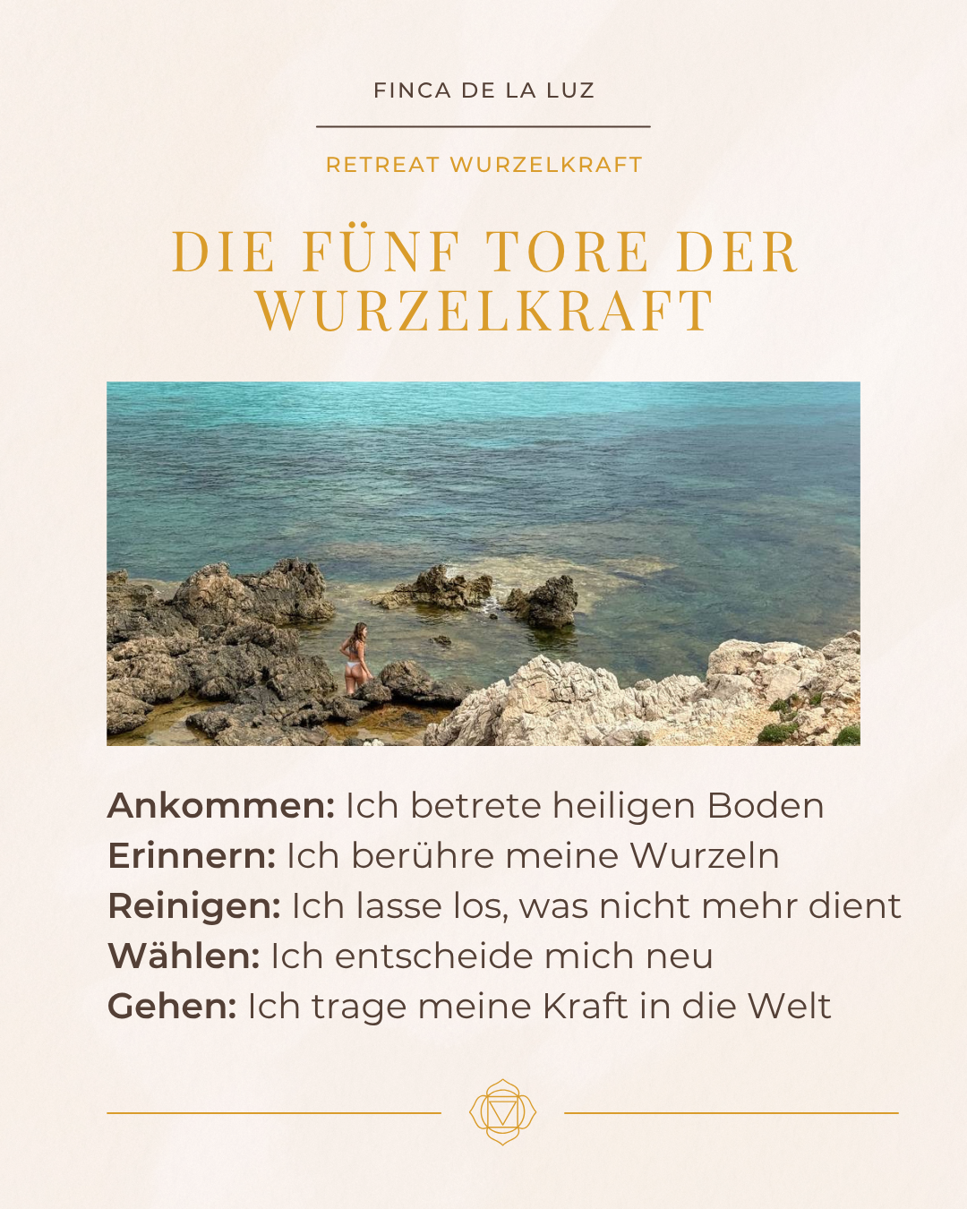 Wurzelkraft - Zurück in deine Urkraft