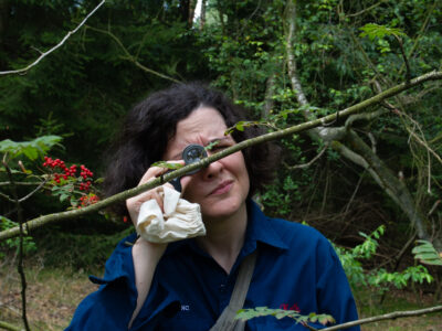 Kunst Natur Retreat Wendland – Achtsame Naturerfahrung und kreative Entfaltung