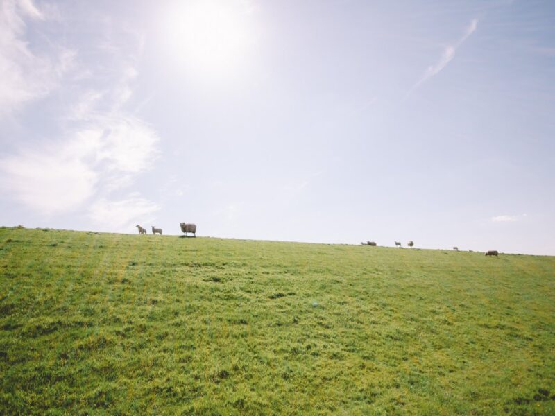 Nordwärts - Entspannt in 2026