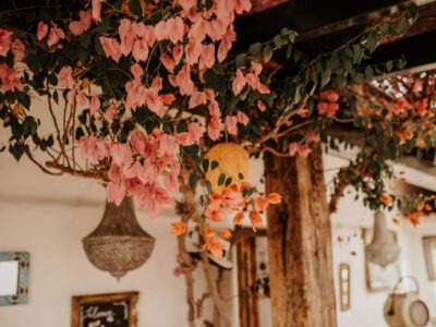 Vinyasa Yoga Retreat in Andalusien