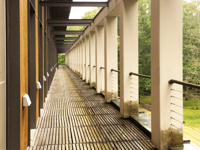 Wo Märchen heilen – Retreat mit märchenbasierten Aufstellungen, sanftem Yoga und Wald-Gesundheitstraining