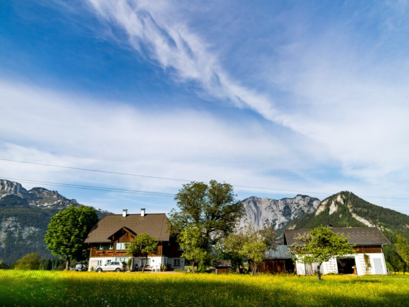 Finde deine Big Five for Life® & deinen Zweck der Existenz