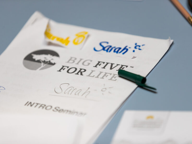 Finde deine Big Five for Life® & deinen Zweck der Existenz