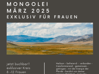 Roots and Radiance - Marokko, Face your Fear - Mongolei