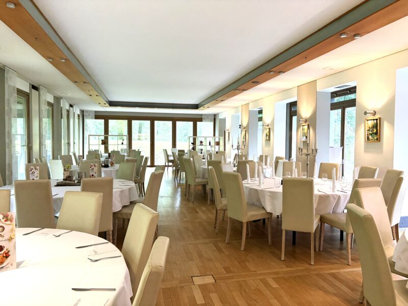 Wo Märchen heilen – Retreat mit märchenbasierten Aufstellungen, sanftem Yoga und Wald-Gesundheitstraining