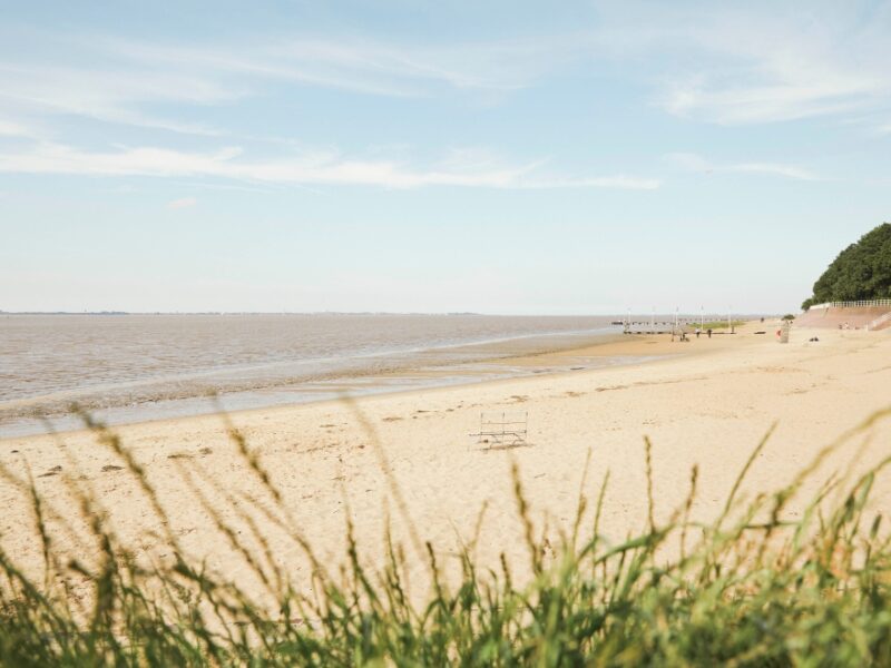 Finde deine Big Five for Life® & deinen Zweck der Existenz