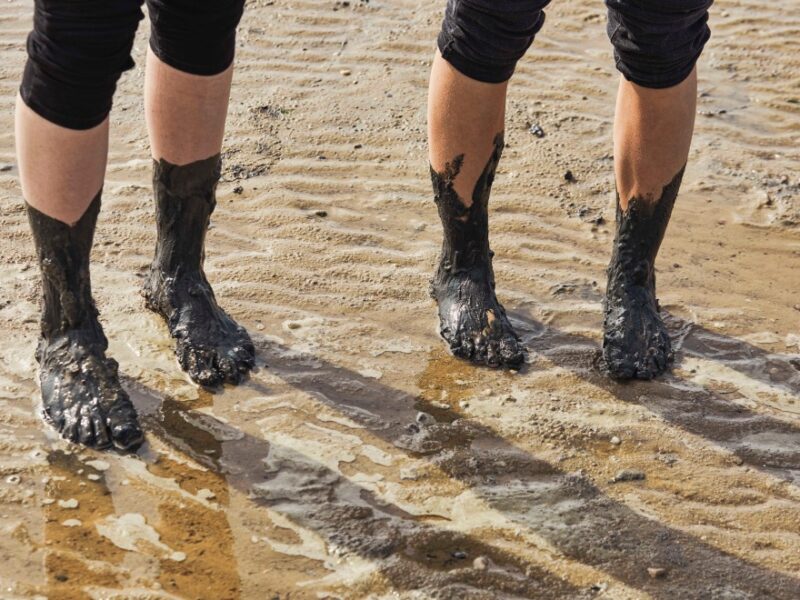 Finde deine Big Five for Life® & deinen Zweck der Existenz