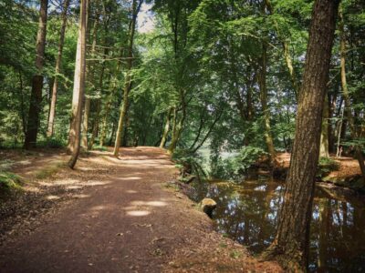 Finde deine Big Five for Life® & deinen Zweck der Existenz