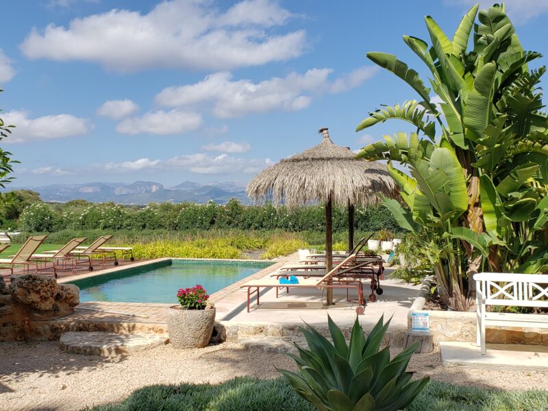 Gesundheits-Retreat für Frauen 40+ Chronisch gesund werden und bleiben