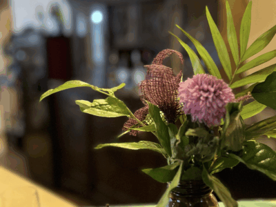 Winterzauber - Yin & Yang Yoga Retreat