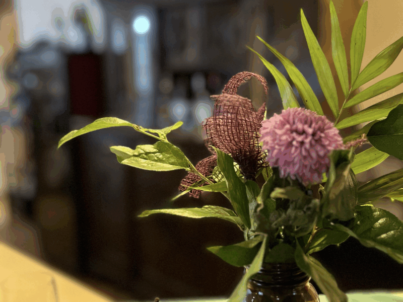 Winterzauber - Yin & Yang Yoga Retreat