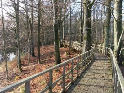 Resilienz Retreat - Schwedisch dem Winter trotzen