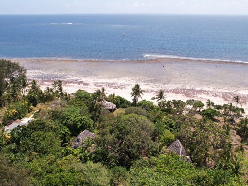 Divine Intervention, der Kurs der Dein Leben verändern kann. Afrika, Kenia, 14.-28. Februar 2026