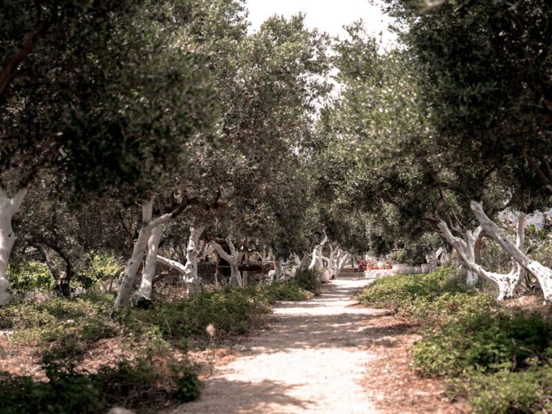 Alive Leadership Retreat