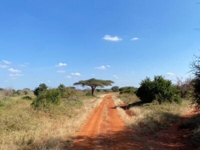 Divine Intervention, der Kurs der Dein Leben verändern kann. Afrika, Kenia
