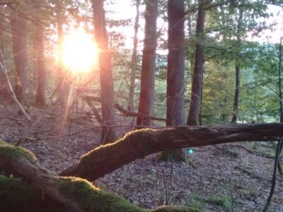 Auszeit in der Märchenhütte - Retreatbausteine selber wählen
