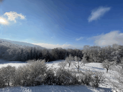 MAKE IT REAL! Neujahrs-Retreat 2025