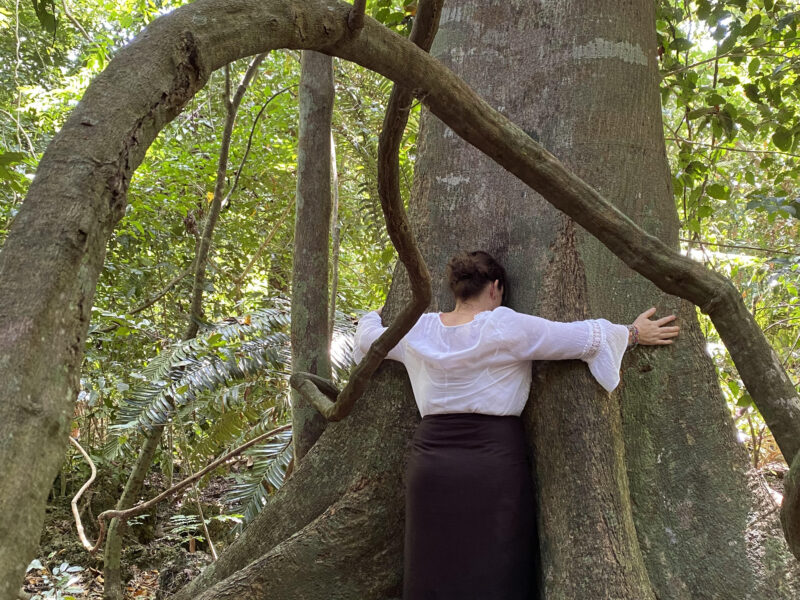 Divine Intervention, der Kurs der Dein Leben verändern kann. Afrika, Kenia, 14.-28. Februar 2026