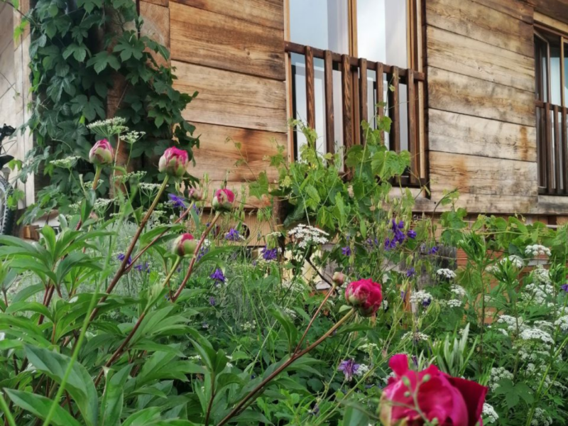 Kristallklar & Geborgen