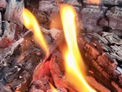 Entdecke den Rhythmus der Natur in dir – Jahreskreis-Retreat vom 17. -19. April 2026 im Schiefergebirge