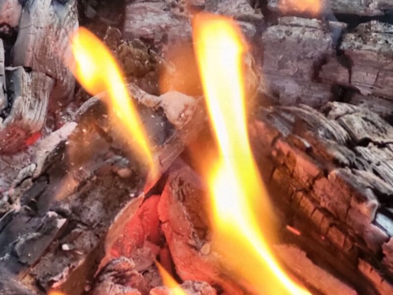 Entdecke den Rhythmus der Natur in dir – Jahreskreis-Retreat vom 17. -19. April 2026 im Schiefergebirge