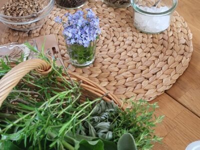 Entdecke den Rhythmus der Natur in dir – Jahreskreis-Retreat vom 17. -19. April 2026 im Schiefergebirge