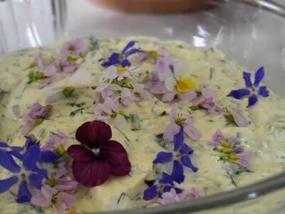 Entdecke den Rhythmus der Natur in dir – Jahreskreis-Retreat vom 17. -19. April 2026 im Schiefergebirge