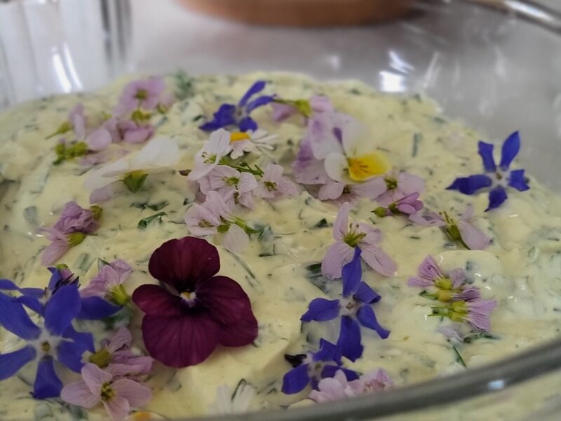 Entdecke den Rhythmus der Natur in dir – Jahreskreis-Retreat vom 17. -19. April 2026 im Schiefergebirge