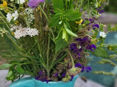 Entdecke den Rhythmus der Natur in dir – Jahreskreis-Retreat vom 17. -19. April 2026 im Schiefergebirge