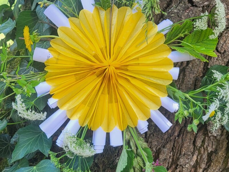 Entdecke den Rhythmus der Natur in dir – Jahreskreis-Retreat vom 17. -19. April 2026 im Schiefergebirge