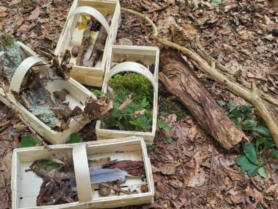 Entdecke den Rhythmus der Natur in dir – Jahreskreis-Retreat vom 17. -19. April 2026 im Schiefergebirge