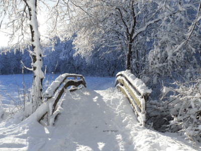 Präventionskurs für neue Energie & innere Balance - Yoga Retreat im Oversum Vital Resort Winterberg