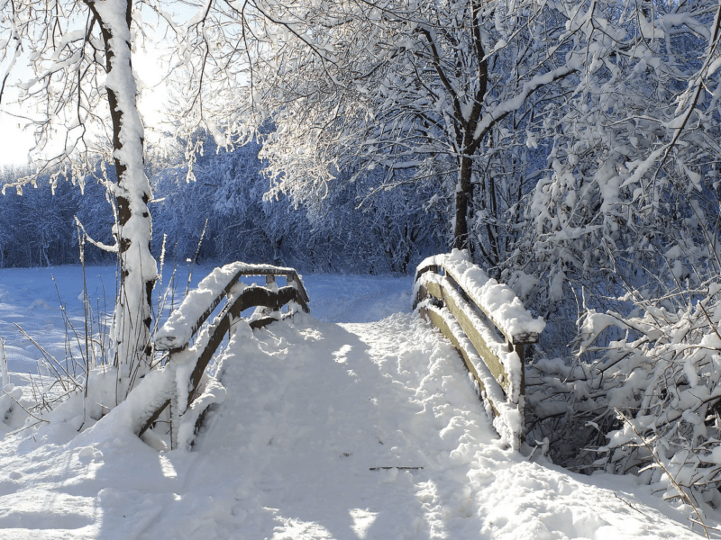 Präventionskurs für neue Energie & innere Balance - Yoga Retreat im Oversum Vital Resort Winterberg