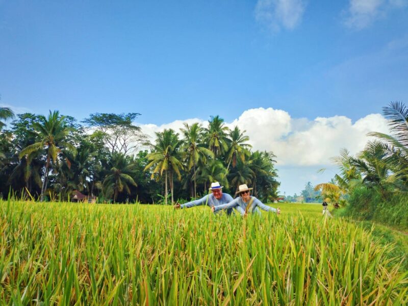 Soul-Bali Retreat vom 04. - 14. Juli 2026