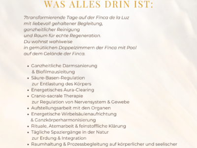 The Holy Reset auf Mallorca