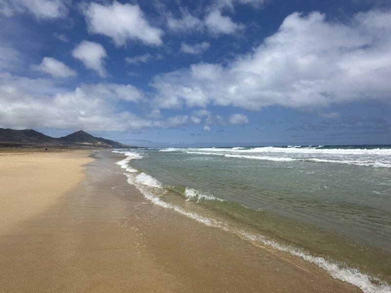 Soul & Sea Retreat 2026