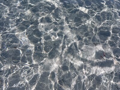 Soul & Sea Retreat - One Last Summer Escape